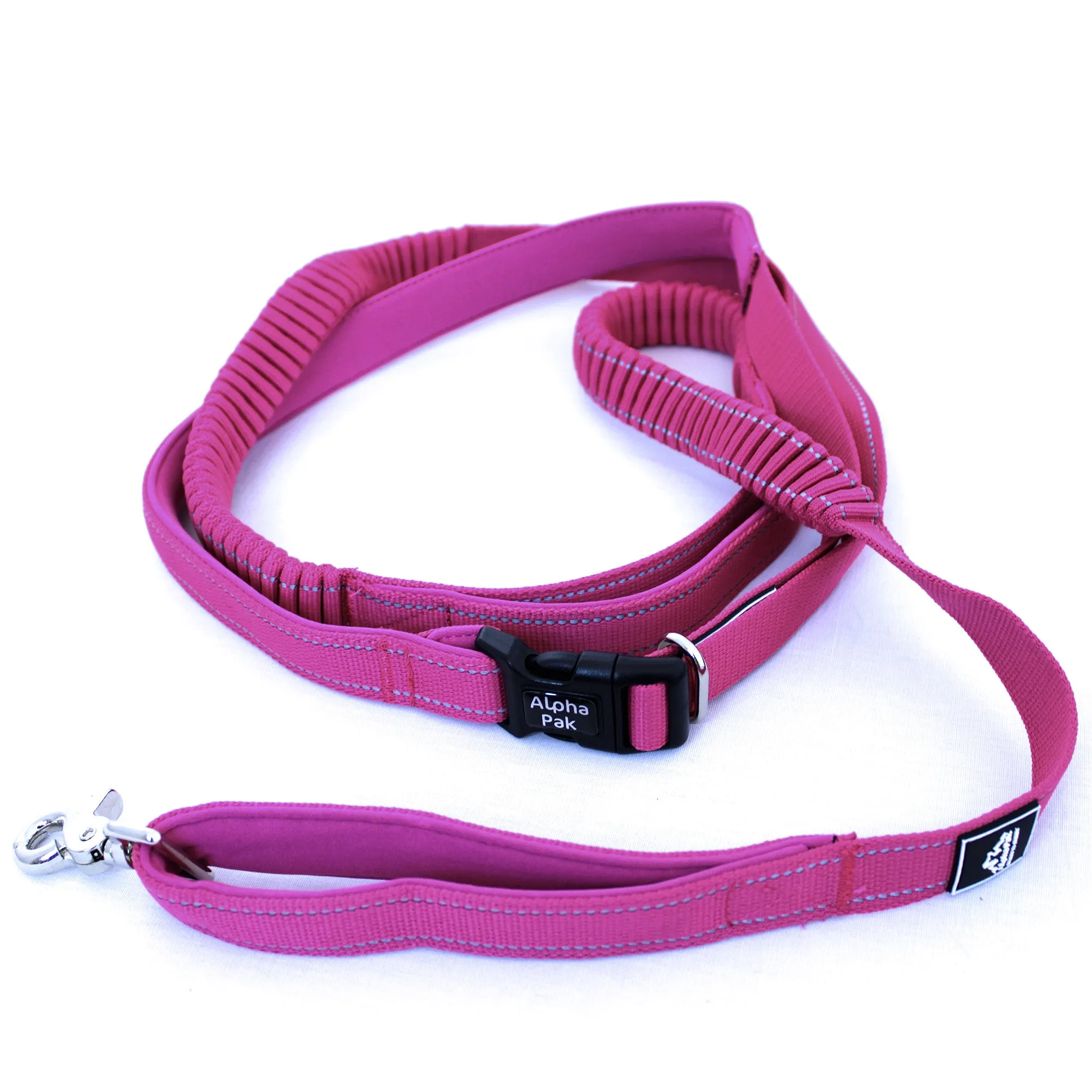 Everyday Runner Stretchable Dog Leash