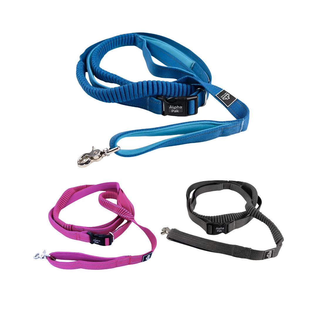 Everyday Runner Stretchable Dog Leash