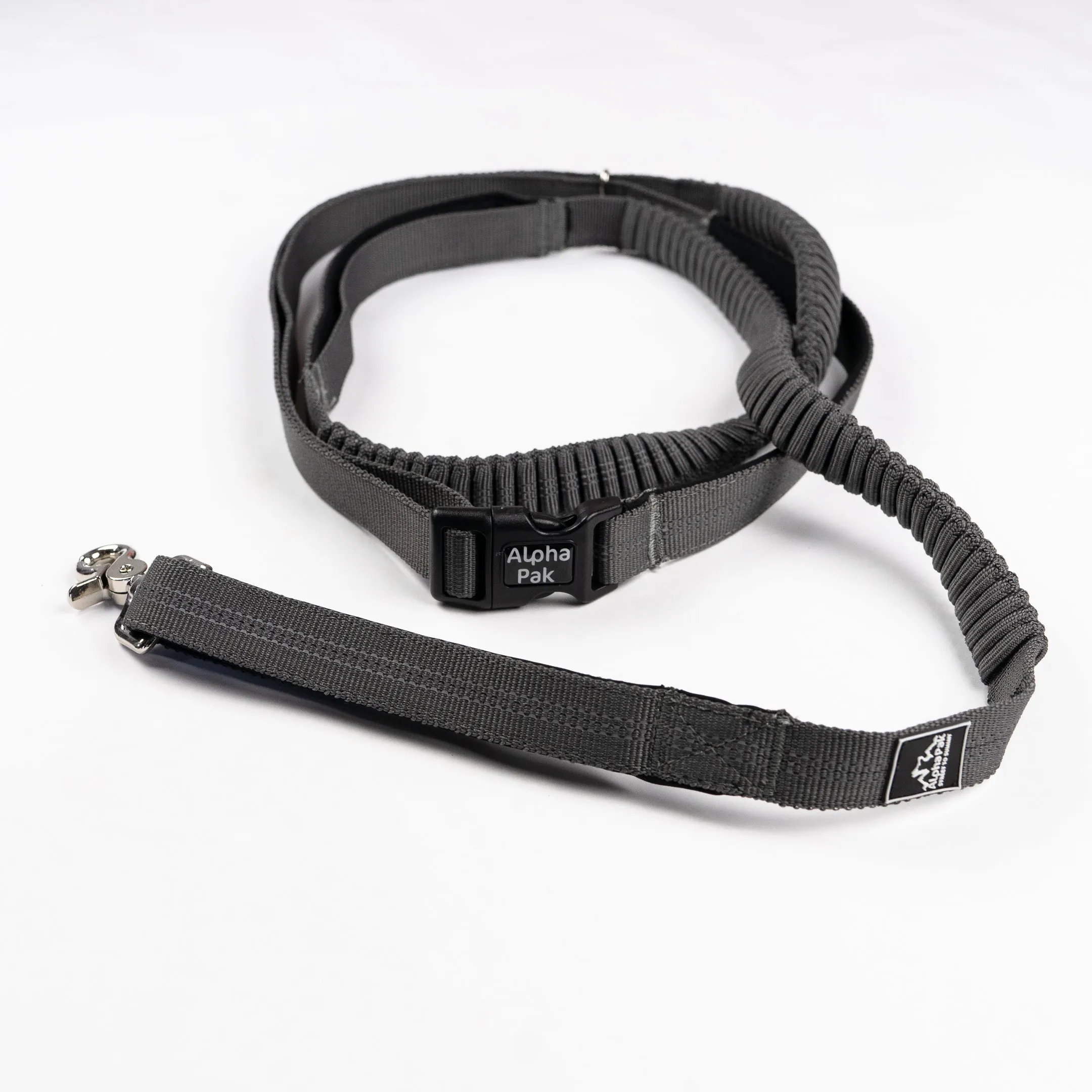 Everyday Runner Stretchable Dog Leash