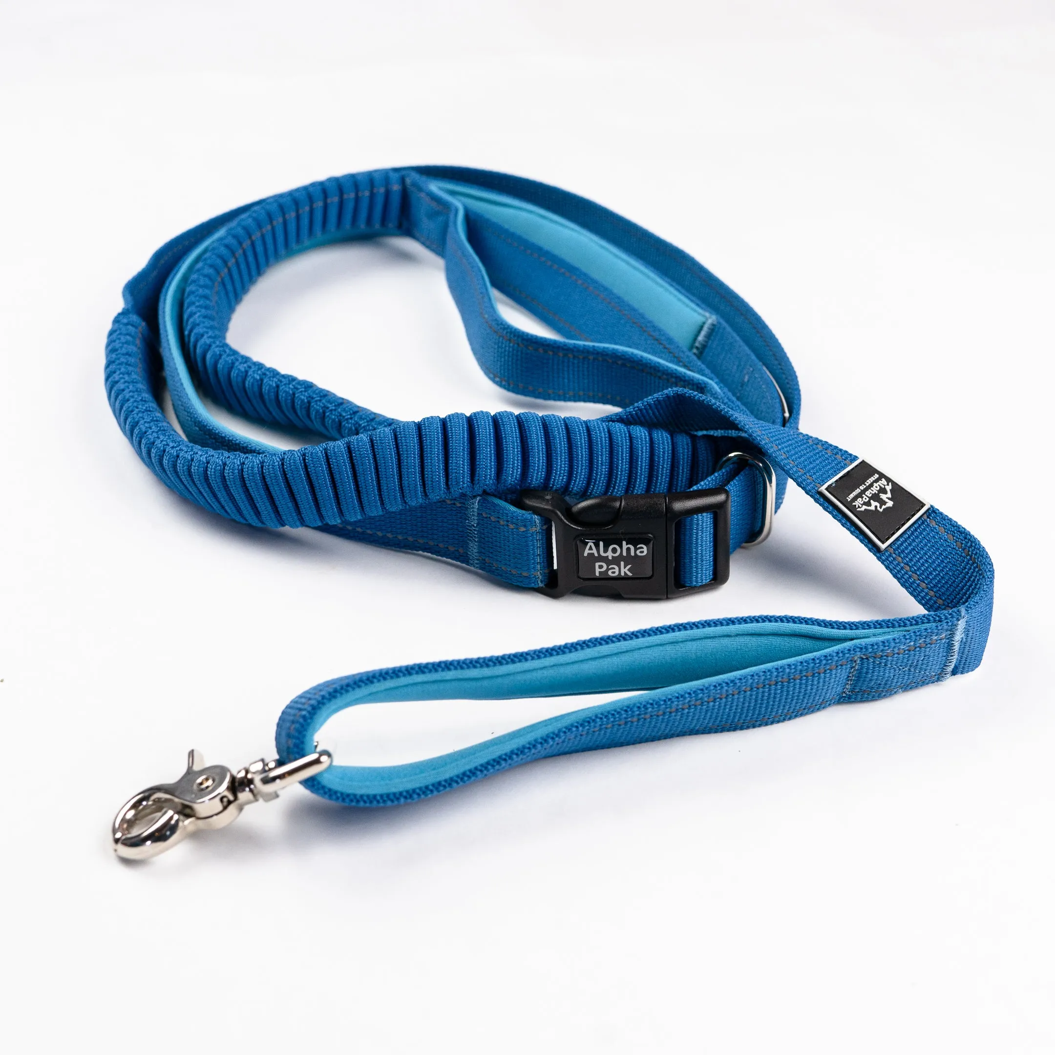 Everyday Runner Stretchable Dog Leash