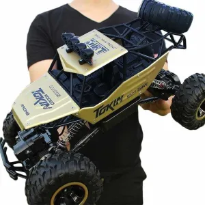 Remote Control Rock Crawler Just For You